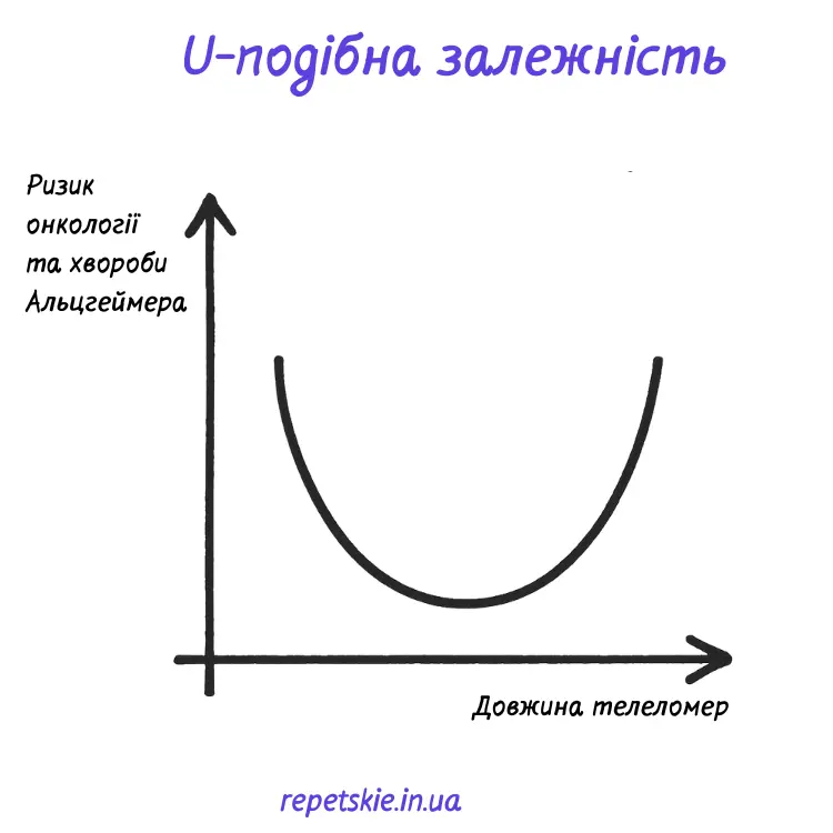 Теломери, старіння і мозок: чому здорові звички сильніші за гени