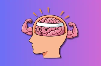 Етапи розвитку мозку. Що відкрили вчені?